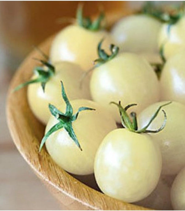 SeedsUA Seeds Cherry Tomato Snow White Heirloom Vegetable for Planting Non GMO