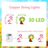 30 Summer Flamingo&Palm Tree Fairy Lights LED Copper String Lights with Remote Control & Battery Operated Flamingos