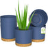 ZMTECH Plant Pots, Set of 6 Self Watering 6.5'' Plastic Planters with Drainage Hole and Saucer, Blue