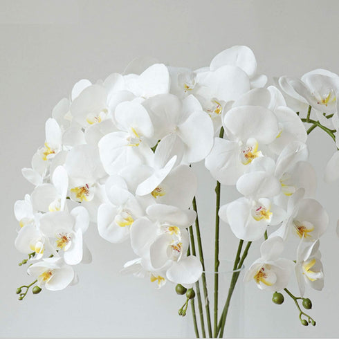 FagusHome 6 Pcs Artificial Phalaenopsis Flowers with 6 Bundles Leaves, Artificial Orchid Flowers Stem Plants for Home