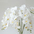 FagusHome 6 Pcs Artificial Phalaenopsis Flowers with 6 Bundles Leaves, Artificial Orchid Flowers Stem Plants for Home