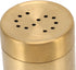 Gold Spice Jar, 2 Pcs Stainless Steel Rustproof Screw Open Top Seasoning Shaker Bottle for Salt, Sugar, Pepper
