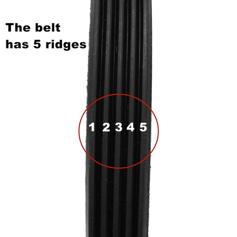 Washing Machine Rubber Drive Belt 5EPJ1225, Compatible with Hoover Candy Washing Machines