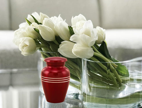Immortal-Memories Serenity Mini Keepsake Urn for Ashes - Token Urn with Velvet Bag, Mini Jar, Pet Urn (Red)