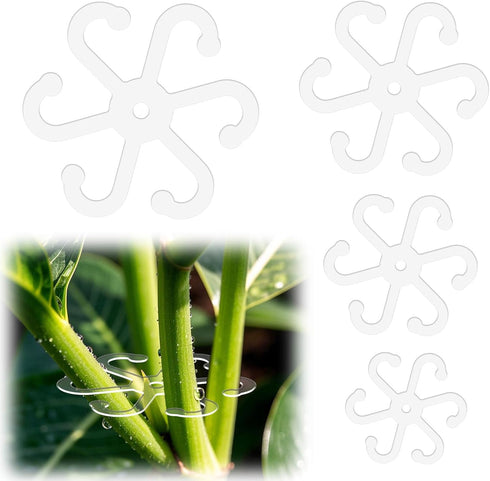 BOXOB 4pcs Plant Stem Support, Plant Stem Holder with Holes Acrylic Plant Trellis