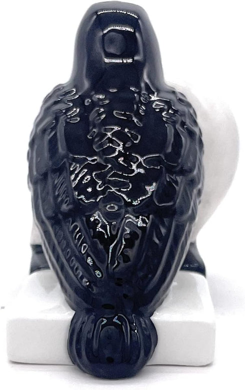 Rustix Quoth The Raven Ceramic Gothic Halloween Decor, Cute Skull Horror Salt and Pepper Shaker Set for Kitchen