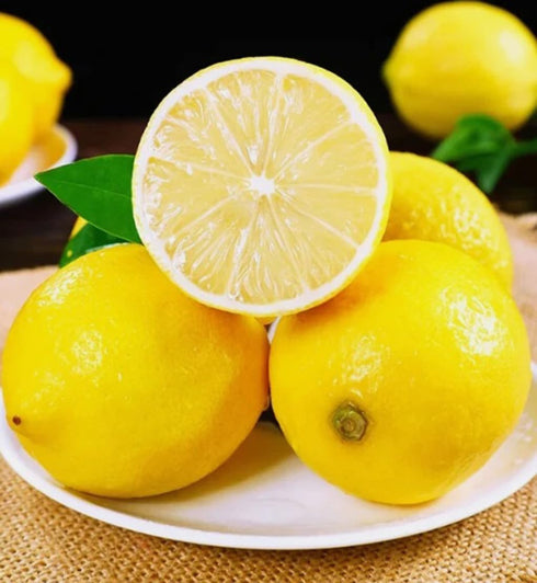 BULBORIUM 30PCS Meyer Lemon Seeds Delicious Fruit Citrus Fruit Garden Tree Seeds Heirloom