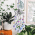 SUNCATCHER with Crystals, Octopus Suncatchers for Window AB Chandelier Beads Crystal prisms, Sun Catcher Gifts for Any