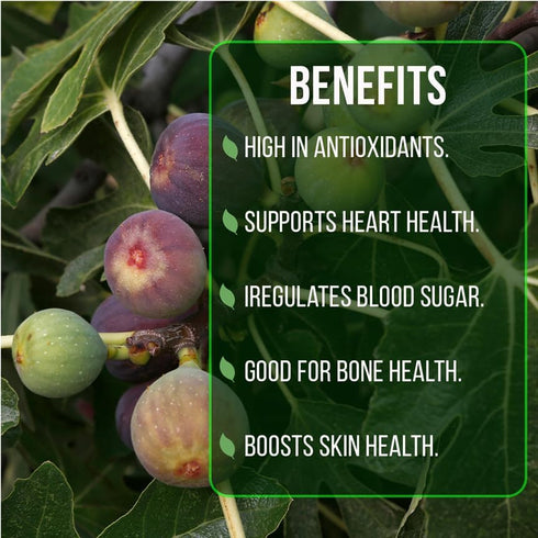 (4 Pack) Fig Tree Collection Edible Fruit Plant from Our Optimal Picks | Easy to Grow Plants for Sustainable Living |