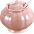Porcelain Sugar or Salt Bowl with Lid and Spoon, Ceramic Spice Keeper, 9 Ounce, Pearlescent Pink Design