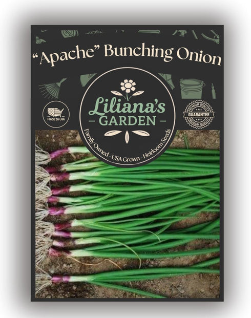 Liliana's Garden Apache Red Bunching Onion Seeds aka Red Scallion or Salad Onion | Heirloom Seeds by |