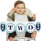 Big Dot of Happiness - Two Much Fun - Boy Highchair Decor