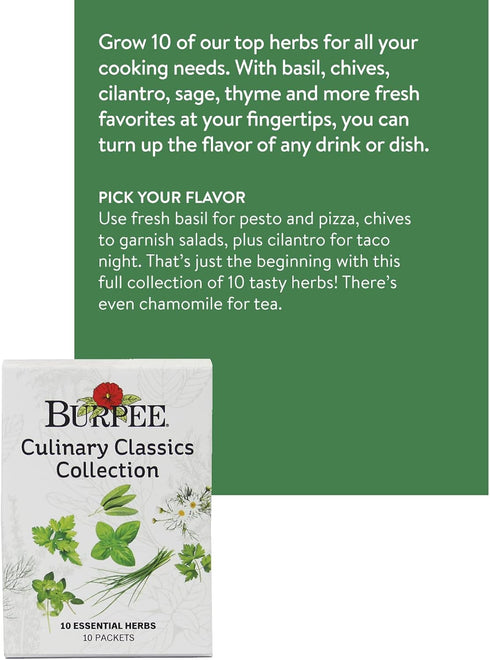 10 Packets Pack, Burpee Culinary Classics Garden Collection of Non-GMO Chives, Cilantro, Basil, Sage, Thyme, Dill