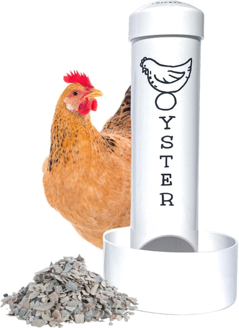 Revolutionary Chicken Oyster Shell Feeder for Chickens