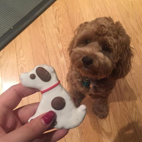 Puppy Dog Paw and Bone Shaped Cookie Cutter, Stainless Steel Biscuit/Fondant Molds, Homemade Baking Tools by EORTA, Set