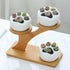 Window Sill Plant Shelf 2 Pack, Small Bamboo Desk Plant Stand, 3 Tier Succulent Plant Stand for Home Office Decoration