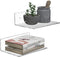 Sezanrpt 9 Inches Acrylic Wall Shelves 2 Pack, Floating Shelf for Wall