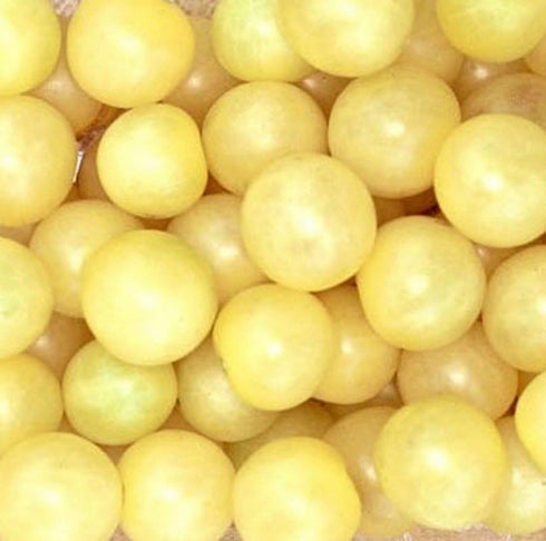 SeedsUA Seeds Cherry Tomato Snow White Heirloom Vegetable for Planting Non GMO