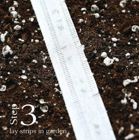 Park Seed Variety of Onions Plant Seeds, Easy to Grow, Perfect for Spring Garden, Damast Bunching Scallion, Tape