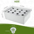 12 MAOPINER Indoor Hydroponic Grow Kit with Bubble Stone, Sites (Holes) Bucket, Air Pump, Sponges - Best Indoor Herb