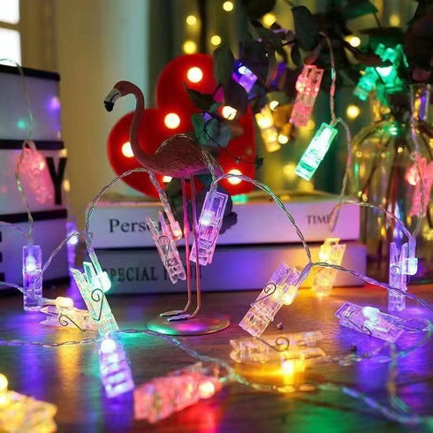 Magnoloran 20 LED Photo String Lights Photo Clips Battery Powered Fairy Twinkle Lights, Wedding Party Home Decor Lights