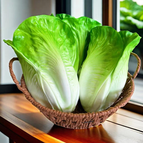 Generic 3pcs HC2430-L3 Realistic Artificial Fake Lettuce, Fake Vegetable, Artificial Vegetables for Decoration, Home