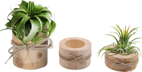Nwsrayu Wooden Air Plant Holder Pack of 3 Wooden Air Plants Holders Air