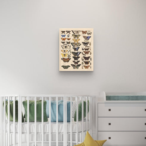 Meishe Vintage Butterflies Insects Art Poster Print, Butterfly Breeds Collection Species Identification Chart