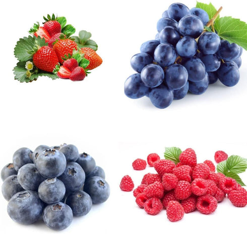 1000+ Packaged Mixed Fruit Seeds for Planting - Strawberry Raspberry Blueberry & Grape Seeds Fresh Fruit - Individually