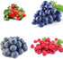1000+ Packaged Mixed Fruit Seeds for Planting - Strawberry Raspberry Blueberry & Grape Seeds Fresh Fruit - Individually