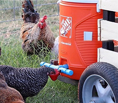 DoubleWood 36Pack (36) Fully Automatic Poultry Drinking Machine Chicken Drinking Cup, Chicken Drinking Watering