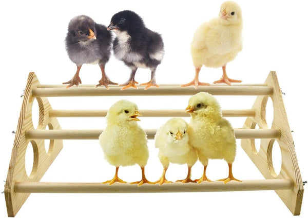 Vehomy Chicken Perch Wood Stand with Holes Chick Stand Trainning Perch Hen Roost