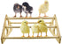 Vehomy Chicken Perch Wood Stand with Holes Chick Stand Trainning Perch Hen Roost