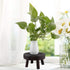 Wood Potted Plant Stand, Solid Wood Mini Stool Display for Vintage Round Rack Flower Pot Holders
