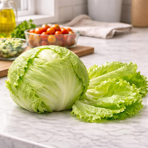 Sunutri Seeds Crisphead Iceberg Lettuce Seeds Compact Round Heads with Crisp Texture for Home Gardens, Raised Beds