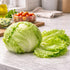 Sunutri Seeds Crisphead Iceberg Lettuce Seeds Compact Round Heads with Crisp Texture for Home Gardens, Raised Beds