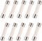 BOJACK 20 Amp Microwave Fuse - 20a Ceramic Slow-Blow Replacement for WB27X10388 and Other Microwaves (Pack of 10)