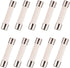 BOJACK 20 Amp Microwave Fuse - 20a Ceramic Slow-Blow Replacement for WB27X10388 and Other Microwaves (Pack of 10)
