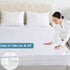 Full Size Zippered Mattress Protector, Waterproof Cover & Encasement for Box Spring, Low Profile Bed Cover