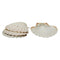 Maine Man Natural Baking Shells - 4-Inches, Set of 4