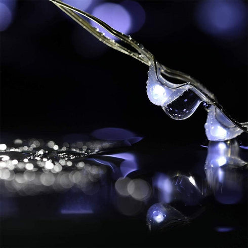 Yalilong Decoration,6 on/18 Off,30 LEDs,10 1) with Timer Function Battery Operated Dewdrop Led Lights,Mini Fairy Lights