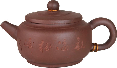 Zisha Clay Teapot, 8oz Chinese Tea Pot Ceramics Purple Sand Pot, Kungfu Tea Kettle with Filter for Loose Tea