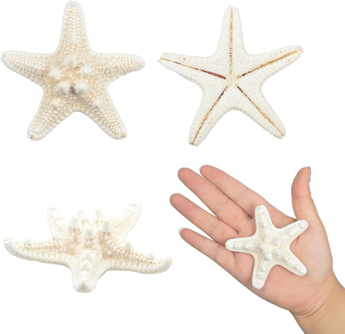Jangostor 12 PCS Mixed Starfish - 2-6 Inch Natural Seashells for Wedding Decor, Beach Theme Party, DIY Crafts