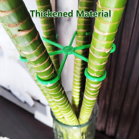 Yiqianhome 8PCS 4 Climbing Plant Stem Supports Sizes, Reusable Plastic Stakes Indoor/Outdoor Garden Flower Growth