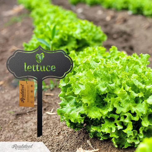 RealSteel Metal Seed & Plant Markers Elegant Indoor & Outdoor Garden Stakes Durable Herb, Vegetable & Fruit Plant