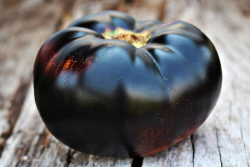 20 Rare Black Tomato Seeds for Planting Around Seeds