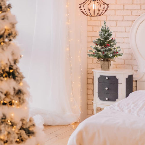 24 Inch 2 FT Pre-lit Snowy Mini Christmas Tree, DECSPAS Small Tabletop Flocked Tree with 20 LED Lights for Holiday Party