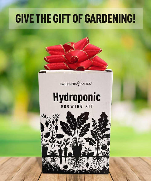 Tokyo Long White Bunching Green Onion Hydroponic Growing Kit Grow Japanese Bunching Onions Non-GMO Heirloom Seeds