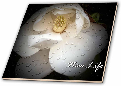 3dRose ct_30606_5 New Life Magnolia Glass Tile, 4-Inch