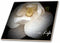 3dRose ct_30606_5 New Life Magnolia Glass Tile, 4-Inch